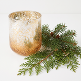 Balsam & Cedar Small Radiant Glass Candle | Illume