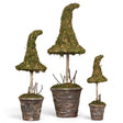 Potted faux moss witch hat Halloween topiaries in three sizes with rustic twig stems and textured pots
