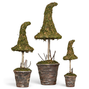 Potted faux moss witch hat Halloween topiaries in three sizes with rustic twig stems and textured pots
