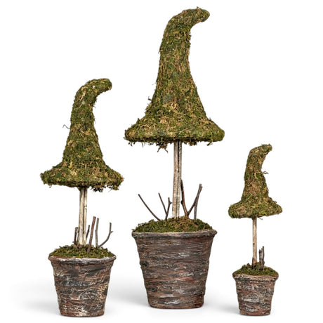 Potted faux moss witch hat Halloween topiaries in three sizes with rustic twig stems and textured pots
