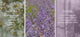 Votivo Saint Germain Lavender Room & Linen Spray