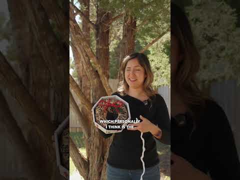 Wildfeast Christmas Bird Seed Wreath | Mr. Bird