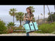 Blue Floral Blooms Original Deano Tote | Scout Bags
