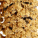 Giant Bird Seed Pine Cone | Mr. Bird