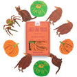 East End Press pumpkin Halloween paper garland with cats, ravens, spiders, and hand-printed pumpkins