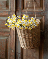 Sunshine Narcissus Flower Bunch