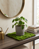 Textured Faux Moss Mat