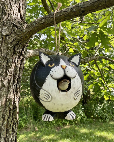 Black & White Cat Gord-O Wooden Birdhouse