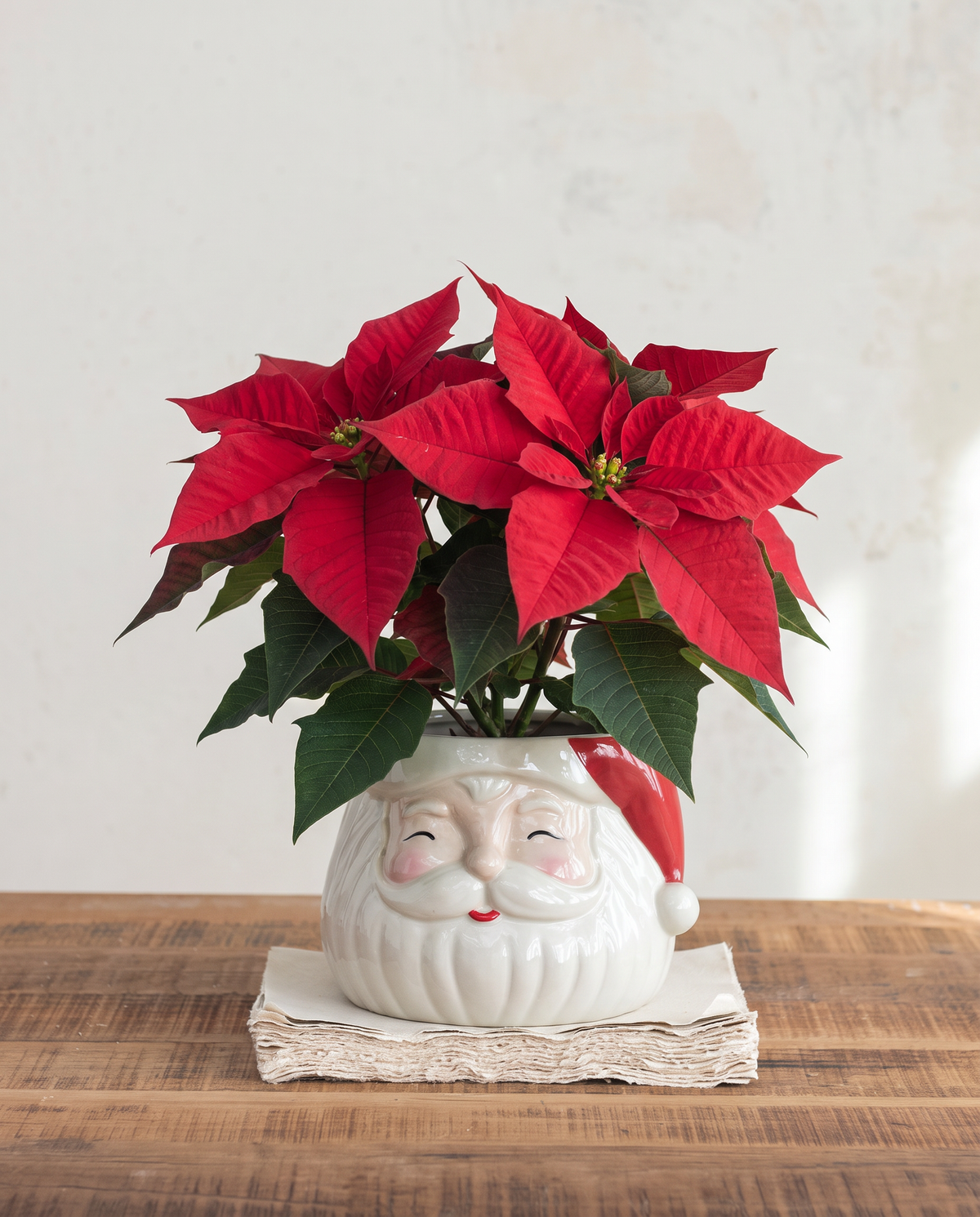 Ceramic Santa Head Planter