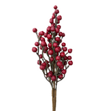 red berries stem