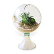 round glass terrarium globe on stand for succulents and decorative display