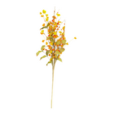 Yellow Wildflower Fall Foliage Stem