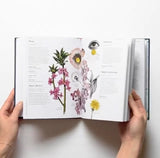 Flowers and Their Meanings Book | Secret Langauge & History of Over 600 Blooms