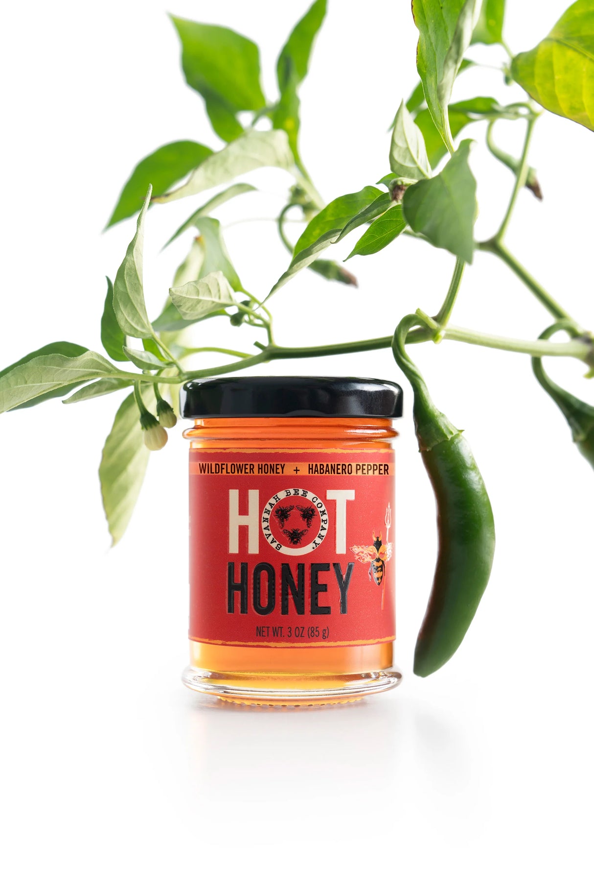 Hot Honey with Habanero Peppers | 3oz
