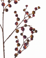 Orange Flame Berry Spray