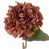 Rust Orange Real Touch Hydrangea Stem