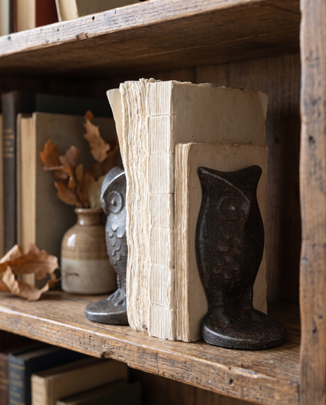 Cast Iron Owl Bookends (Set of 2)