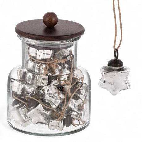 Silver frosted mercury glass star ornament with twine hanger