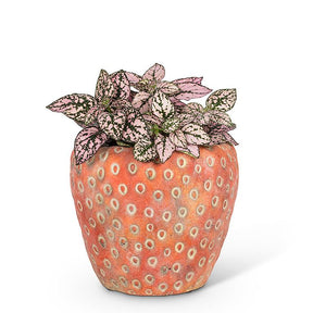 small strawberry shaped cement planter for succulents and indoor plants