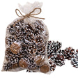 Bag of natural snowy pinecones used for holiday decorating and bowl filler