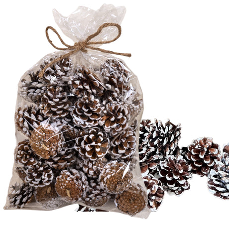Bag of natural snowy pinecones used for holiday decorating and bowl filler