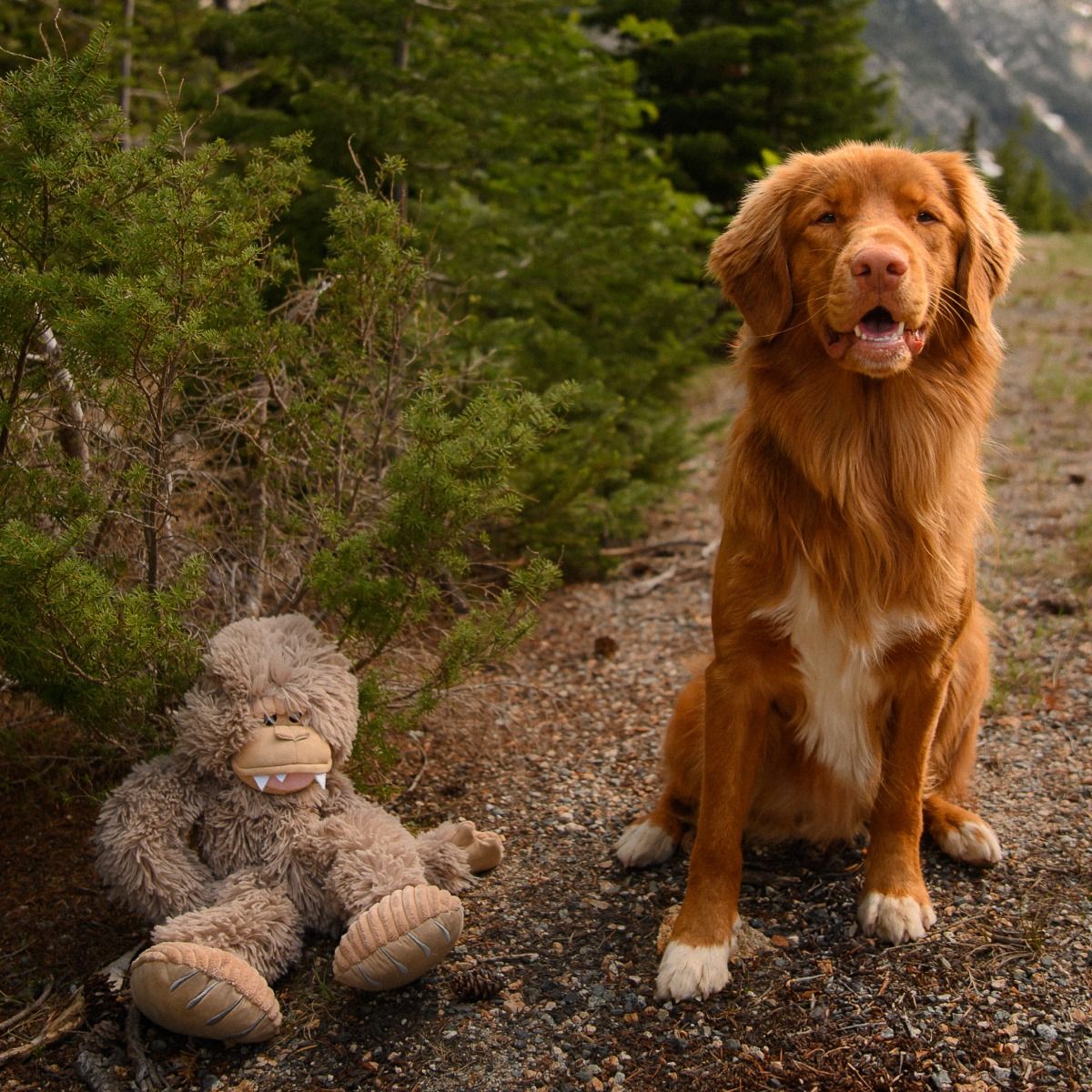 Stuffless Bigfoot Plush Squeaker Dog Toy