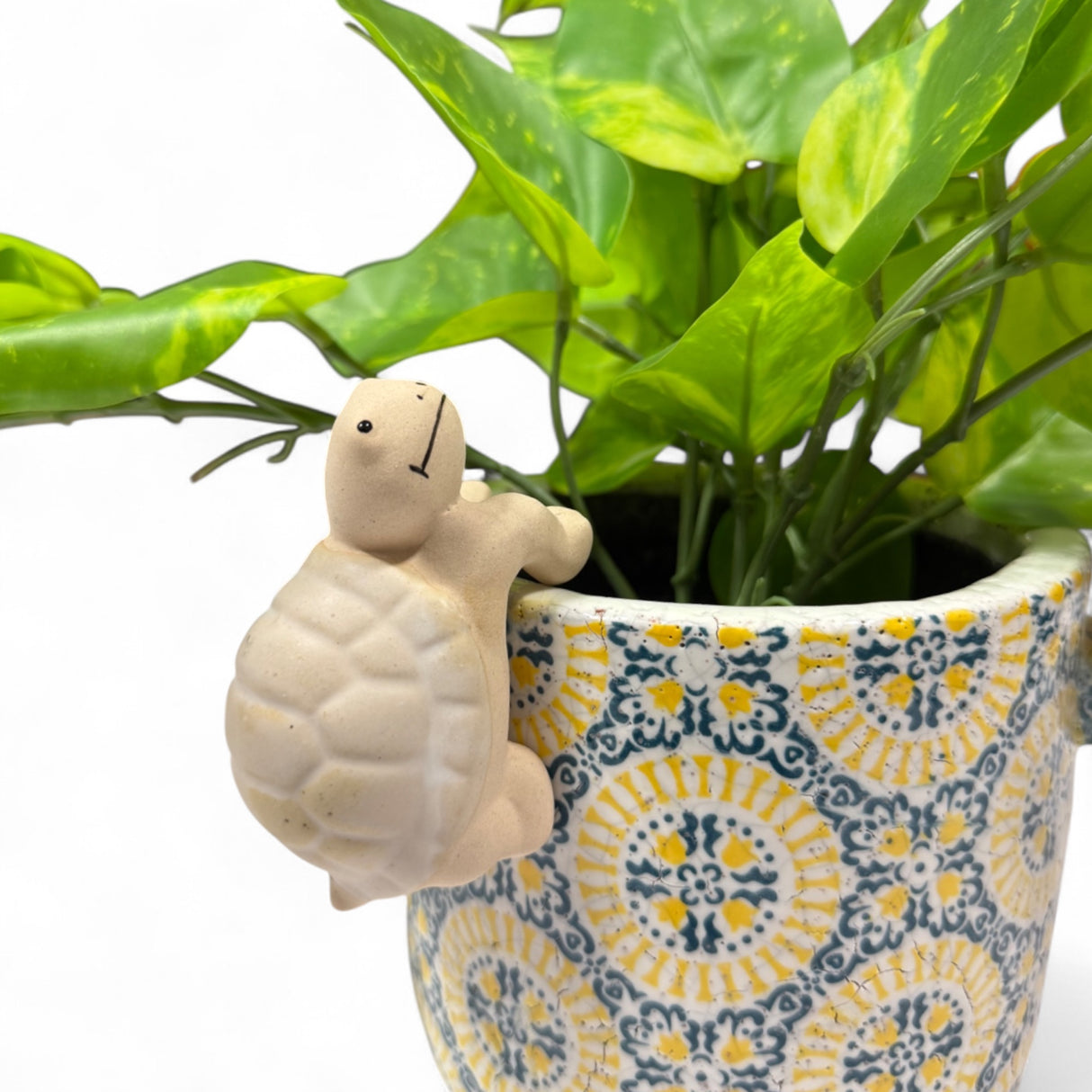 Beige Frog Ceramic Pot Hanger