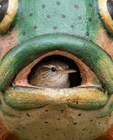 Trout Gord-O Wooden Birdhouse