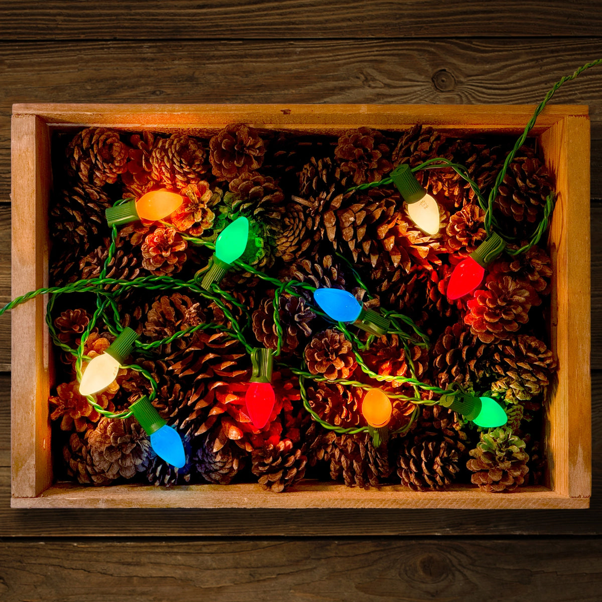 Tru-Tone Classic multicolor C7 lights glowing among pinecones in a wooden tray.