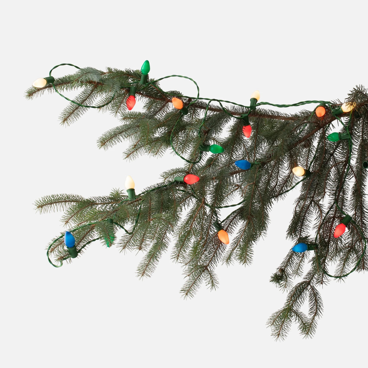 Tru-Tone Classic Christmas lights in red, green, blue, orange, and white draped over evergreen branches.