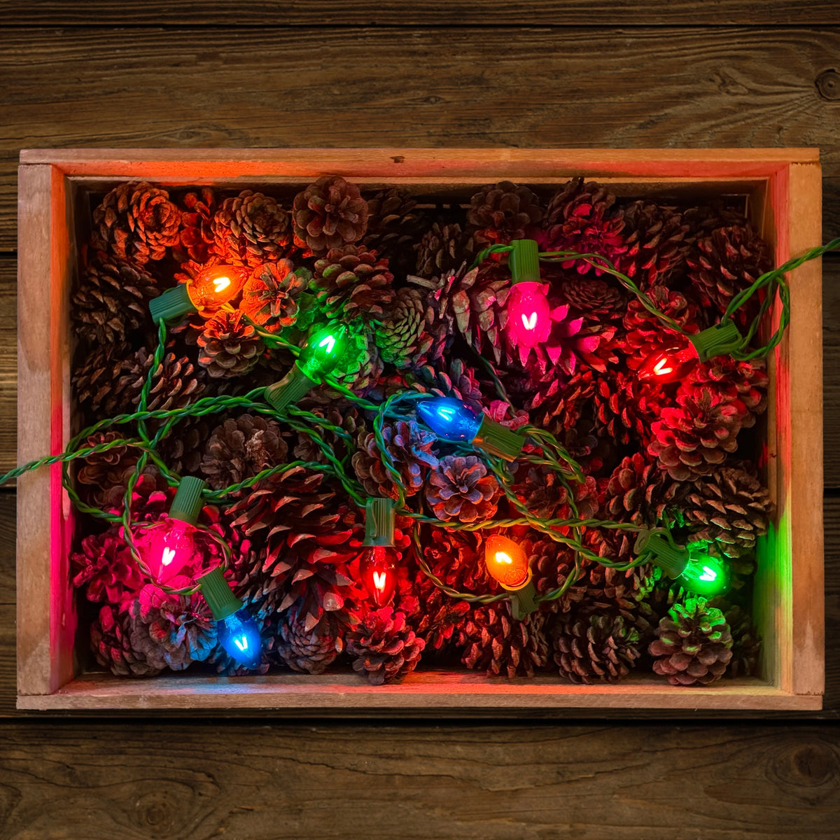 Illuminated Tru-Tone Jeweltone C7 lights arranged over pinecones in a wooden tray.