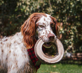 Natural Leather & Wool Ring Dog Toy