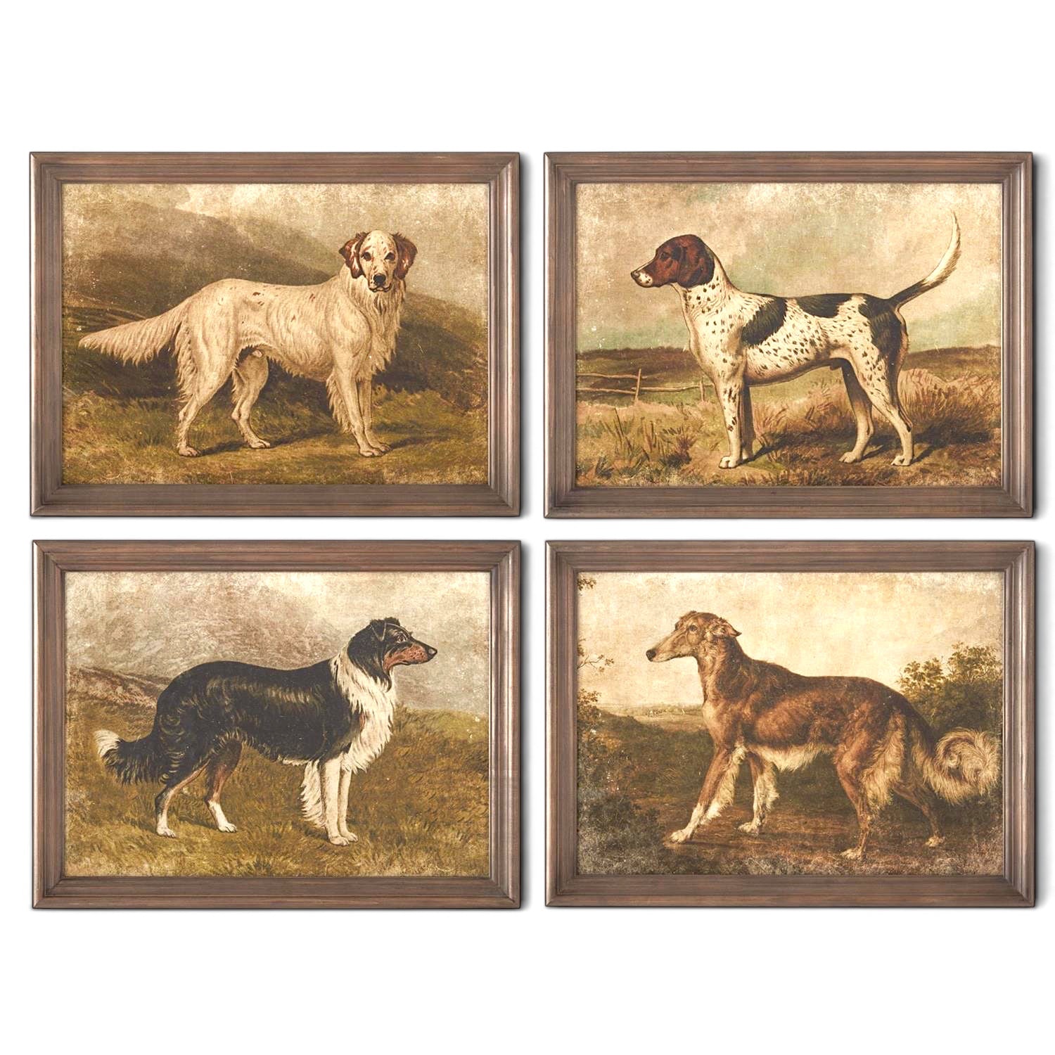 Four vintage framed dog portrait prints featuring a setter, pointer, collie, and borzoi in muted landscape scenes