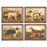 Four vintage framed dog portrait prints featuring a setter, pointer, collie, and borzoi in muted landscape scenes