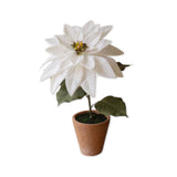 White artificial poinsettia with green leaves in cement pot