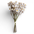 white faux chamomile bundle with small daisy flowers and yellow centers for spring home décor
