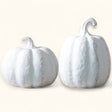 white terracotta pumpkins fall decoration 