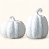 white terracotta pumpkins fall decoration 
