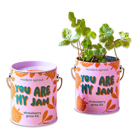 Strawberry grow kit in reusable printed paint can with playful “You Are My Jam” design for indoor gardening and gifting